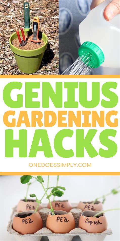 26 brilliant gardening hacks you should try artofit