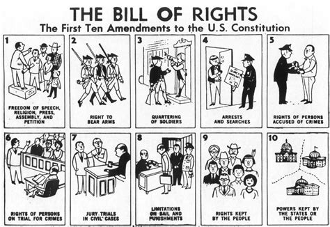 Bill Of Rights History Government Book Talk