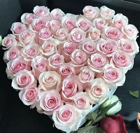 11 Lovely Rose Arrangement Ideas For Girlfriend Rose Arrangements