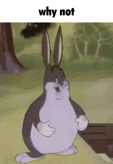 Big Chungus Funny Moments Big Chungus Know Your Clip Art Library My