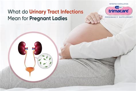 Urinary Tract Infections During Pregnancy 10 Things You Need To Know Plusplus Lifesciences