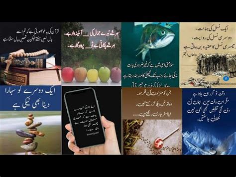 Best Islamic Aqwaal E Zarren In Urdu Golden Words Alfaaz Ki Roshni