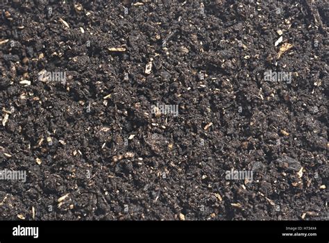 Black Soil Texture Hi Res Stock Photography And Images Alamy