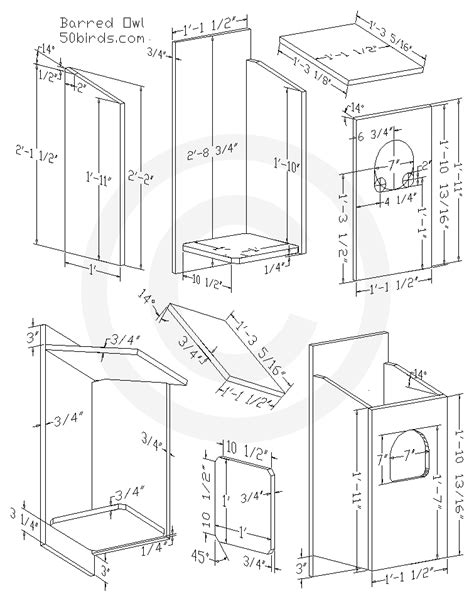 Barred Owl Birdhouse Plans Birds Birdhouse Plans Index