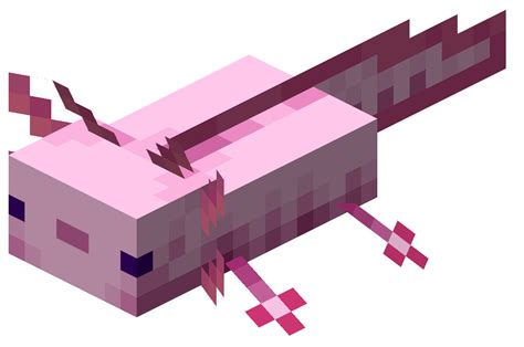 Аксолотль — Minecraft Wiki