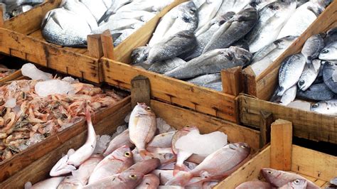 American Seafood Industry Steadily Increases Its Footprint National