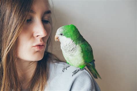 Close Up Of Friendly And Cute Monk Parakeet Stock Photo Image Of