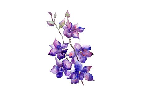 Maybe you would like to learn more about one of these? Bouquet of purple flowers PNG watercolor set (146431 ...