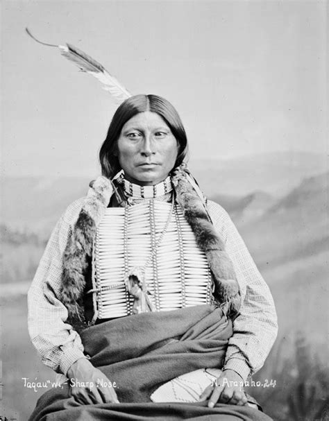 Rainbow Warrior Native American History North American Indians