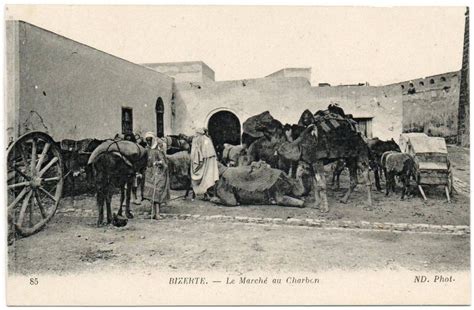 Bizerte Tunisia Bizerte La Marche Au Chabon Camel Market