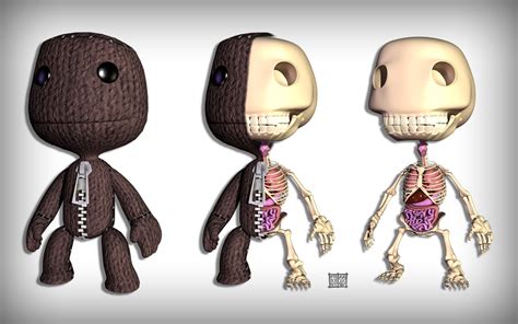 Littlebigplanet Wallpaper And Background Image 1680x1050 Id191408