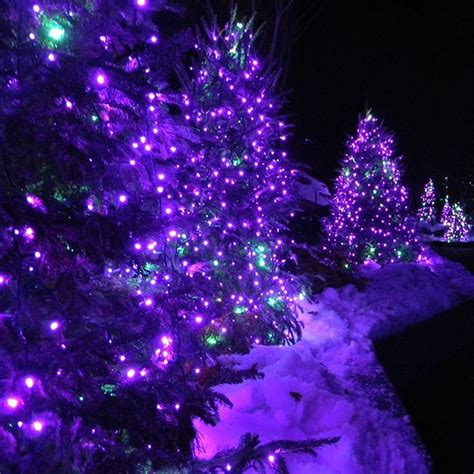 Purple Christmas Tree Lights Purple Christmas Tree Purple Christmas