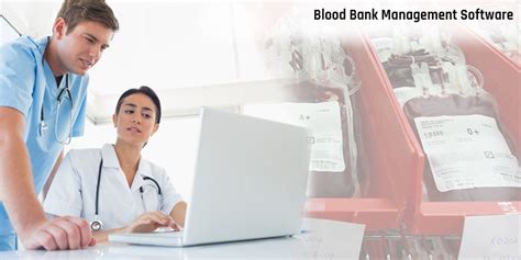 Blood Bank Management Software At Rs 150 Lakh 0 In Noida Sara