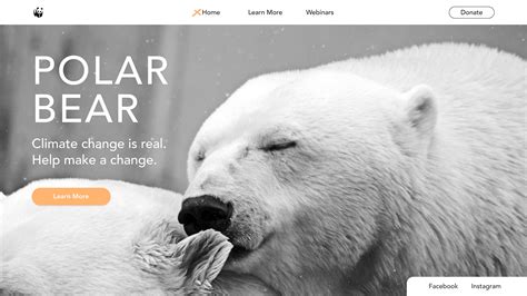 Polar Bear Behance