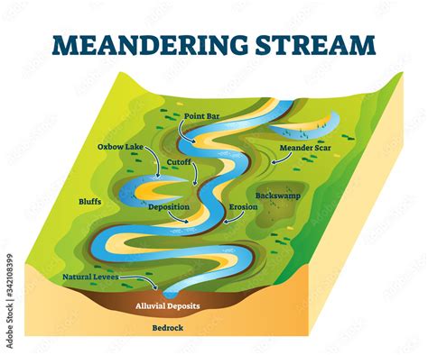 Meandering Stream Vector Illustration River Curves Cause Explanation