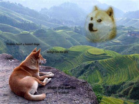 Image 583388 Doge Know Your Meme