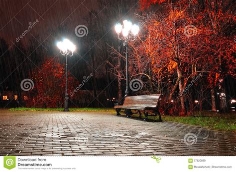 Autumn Night Landscape Of Night Autumn Park Under Falling Rain Stock