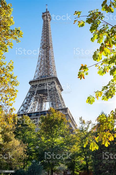 Eiffel Tower Between Trees Stock Photo Download Image Now