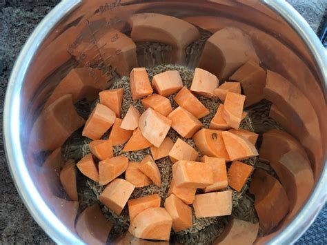 I've been feeding my dogs a kibble supplement of chicken and rice for a few years and just recently read that brown rice is not as bioavailable due to their short digestive track. Instant Pot Dog Food | Hobby Stash