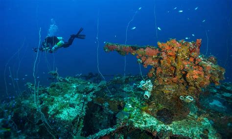 7 Of The Best And Most Extraordinary Diving Sites In The World Wanderlust