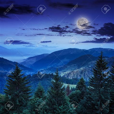 Mountain Landscape Pine Trees Near Valley And Colorful Forest Stock