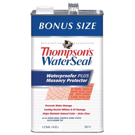 Thompsons Waterseal Waterproofer Plus Masonry Protector Clear Masonry