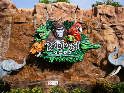 Rainforest Cafe Now Reopened At Disney Springs With Limited Menu Wdw