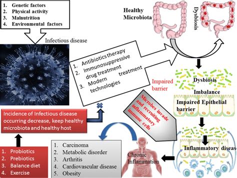 Infectious Diseases Have A Strong Effect On The Gut Microbiota Of The
