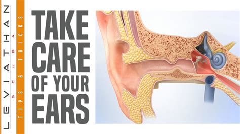 Caring For Your Ears When You Dive Sound Advice About Ear Care Youtube