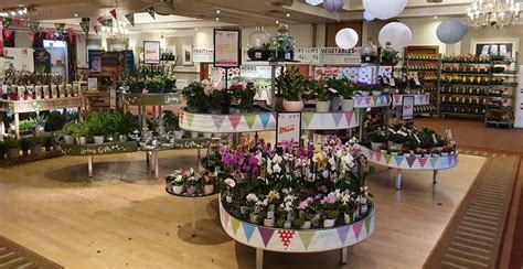 Klondyke Hails Its Plant Show A Success Garden Centre Retail