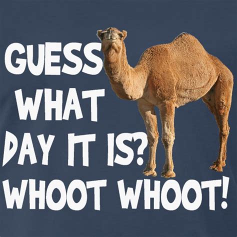 Laughingshirtsandts Hump Day Camel Guess What Day It