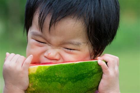 Baby Eating Watermelon Stock Photo Image Of Garden Green 24039796
