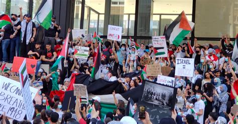 Violence Breaks Out At Pro Palestine Protest In Toronto True North
