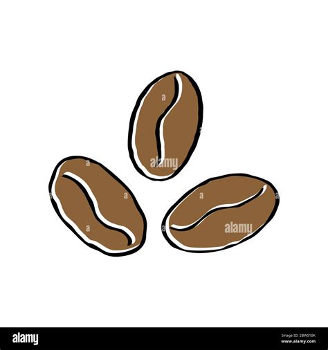 Coffee Beans Vector Color Illustration In Doodle Style For Theme