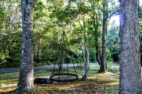 How to hang bench swing from a tree? Hang a swing between two trees | Tree, Tree swing, Two trees