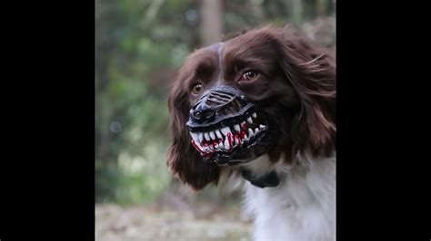 Scary Dog Muzzle For Halloween With Blood Teeth Youtube