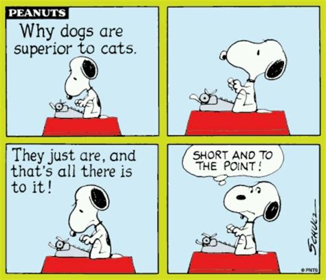 Snoopy Dogs Are Better Than Cats Snoopy Cartoon Snoopy Funny