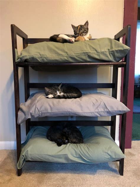 Cat Bunkbed Cat Bunk Beds Cat Bed Old Pillows