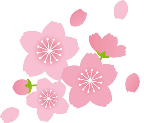 Cherry Blossoms Clipart Free Download Transparent Png Creazilla