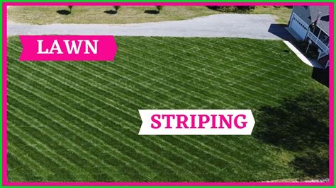 How To Stripe A Lawn Without A Roller Lawn Striping Techniques Pplm