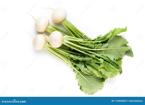 Fresh White Round Turnip Radish On White Background Stock Image