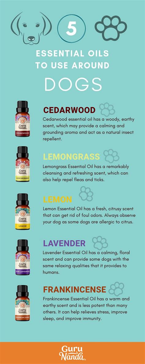 Top 5 Best And Worst Essential Oils To Use Around Dogs In 2020