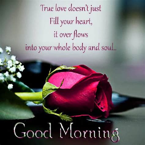 Good morning love quotes show your affection and care for her. Good Morning Quotes Pictures and Good Morning Quotes ...