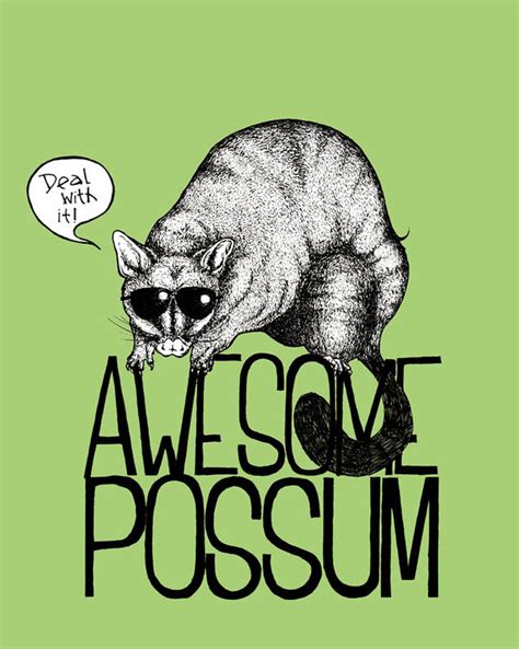Awesome Possum By Talkingcookie On Deviantart