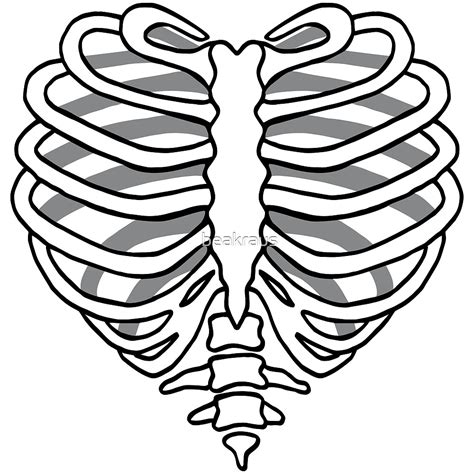 Skeleton Rib Cage Heart By Beakraus Redbubble