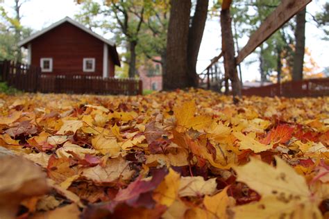 Herbst Fall In Stockholm Sweden Outdoor Around The Worlds