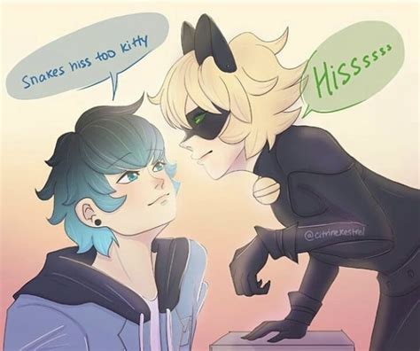 Pin By Carolina Rosa On Miraculous Ladybug Miraculous Ladybug Funny