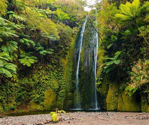Nazareth Twin Waterfall Tanna Island Vanuatu Anmeldelser Tripadvisor