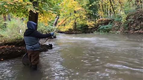 Fishing The Lake Erie Creeks For Steelhead 10 20 22 Youtube