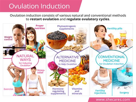 Ovulation Induction SheCares